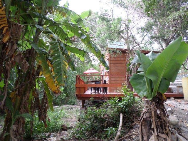 Yellowwood Forest Eco Retreat Morgan's Bay Extérieur photo